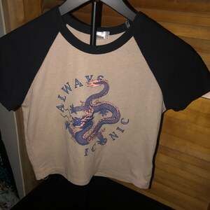range kiss dragon tee y2k crop